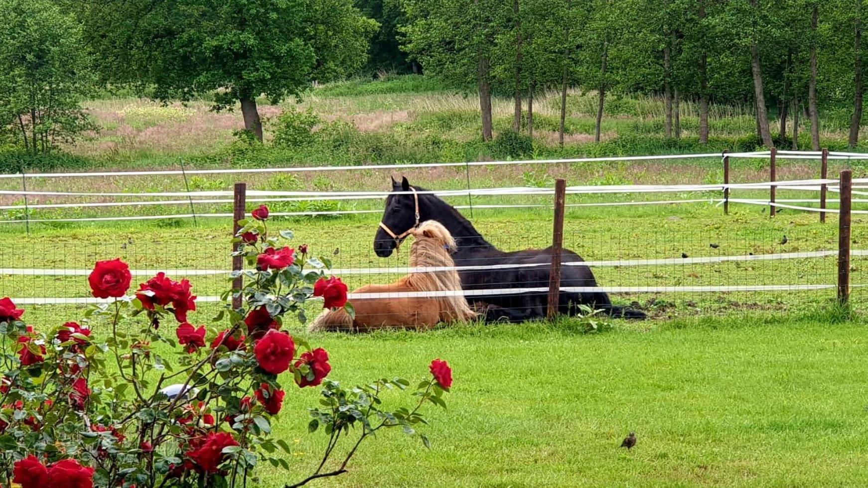 B&B Kuiper In Friesland Ureterp 外观 照片