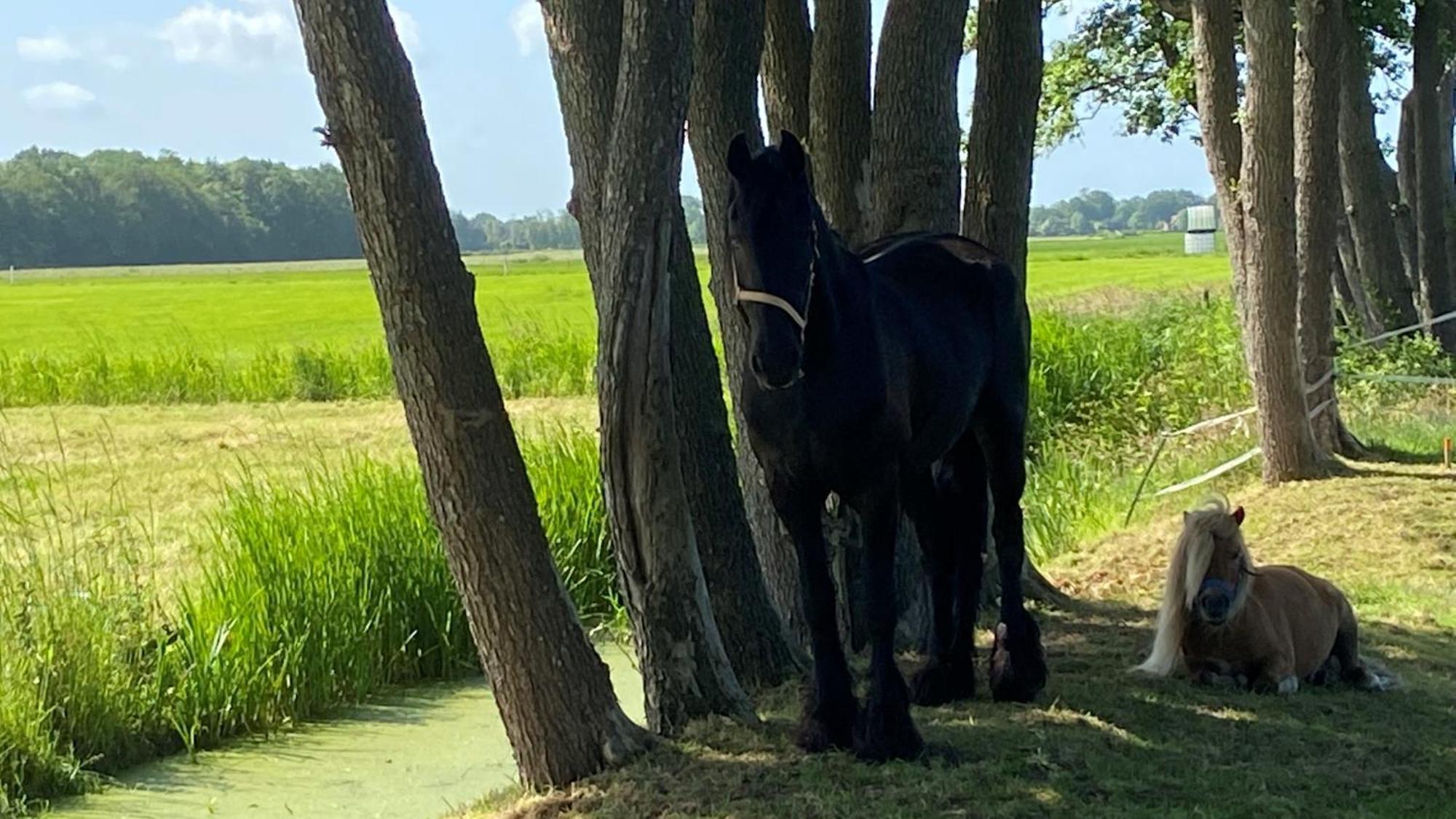 B&B Kuiper In Friesland Ureterp 外观 照片