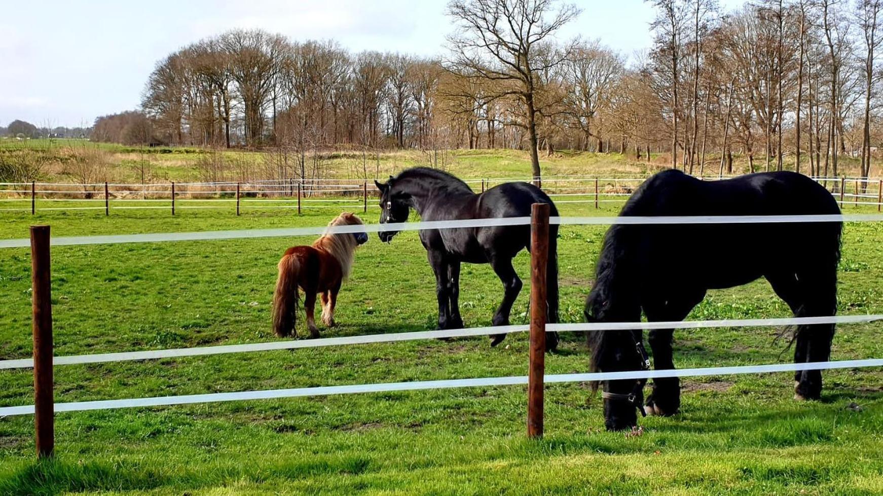 B&B Kuiper In Friesland Ureterp 外观 照片
